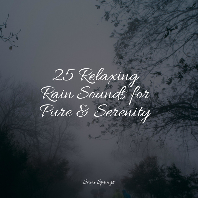 25 Relaxing Rain Sounds for Pure & Serenity - Album by Sleep Recording ...