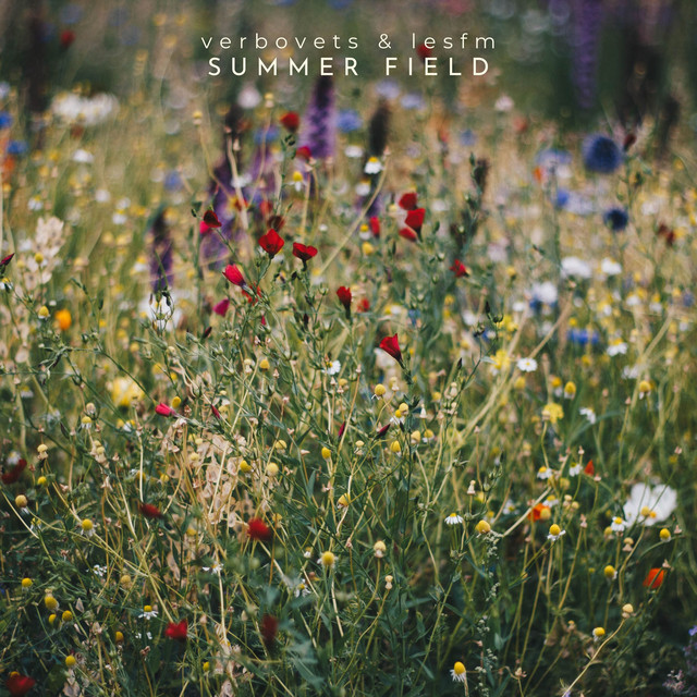 Обкладинка: Summer Field — Lesfm