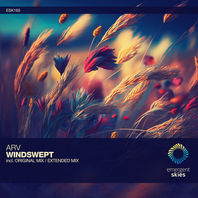 Windswept cover