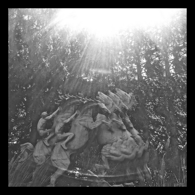 Les Racines Parmi les Sabots des Chevaux cover art