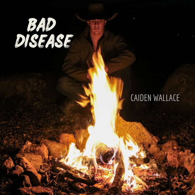 Bad Disease by Caiden Wallace