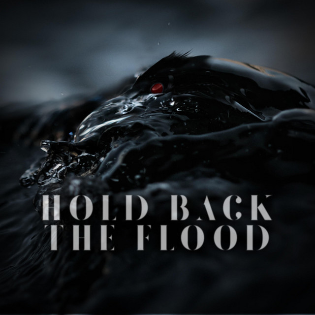 Hold Back the Flood cover