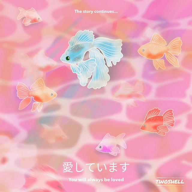 The Story Continues... cover art