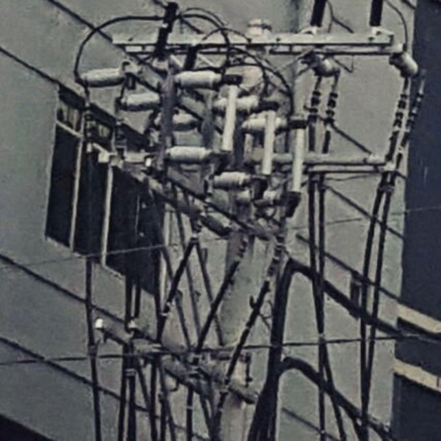 Randomized (Demos) cover art