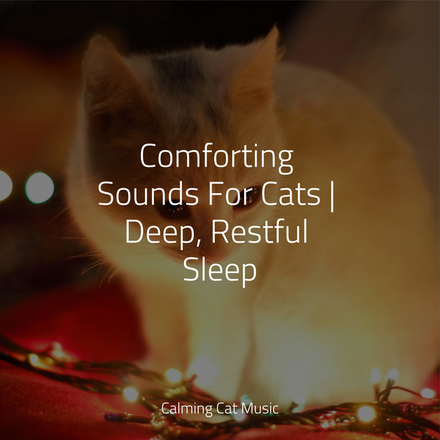 Comforting Sounds For Cats | Deep, Restful Sleep cover art