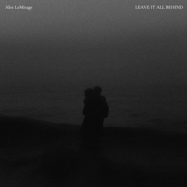 LEAVE IT ALL BEHIND [DVDA REMIX] cover