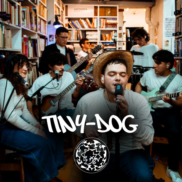 Tiny Dog (Show Acústico En Vivo Desde La Librería) cover art