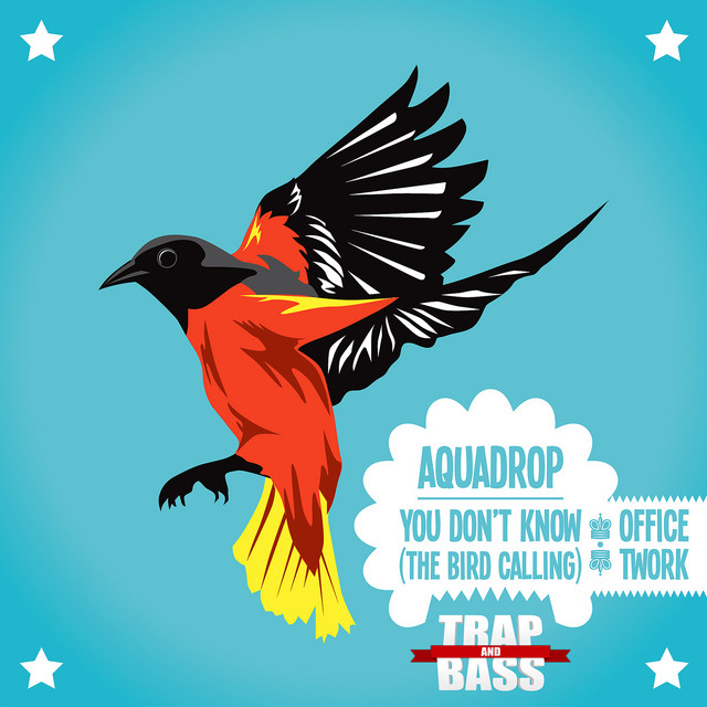 You Don't Know (The Bird Calling) album art