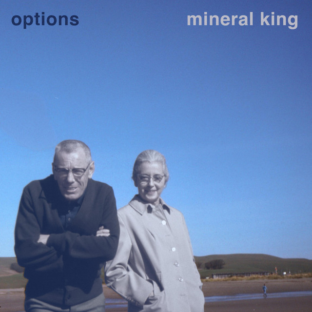 Options cover art