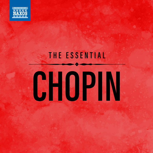 Cello Sonata in G Minor, Op. 65, B. 160: III. Largo