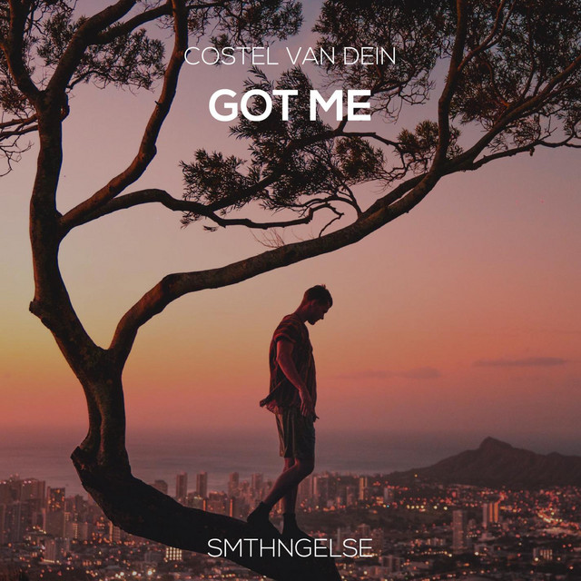 Обкладинка: Got Me — Costel Van Dein