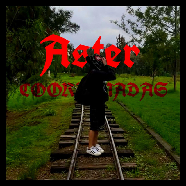 COORDENADAS cover art