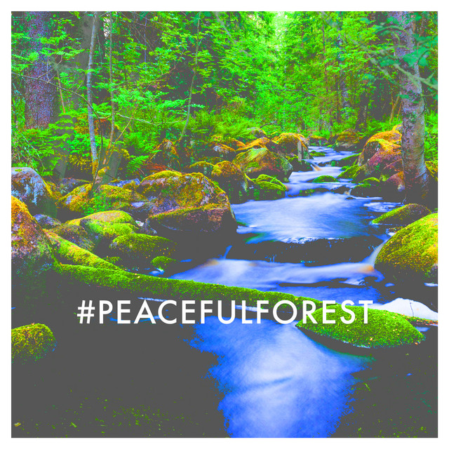 #peacefulforest - Album by Sleep Sounds of Nature | Spotify