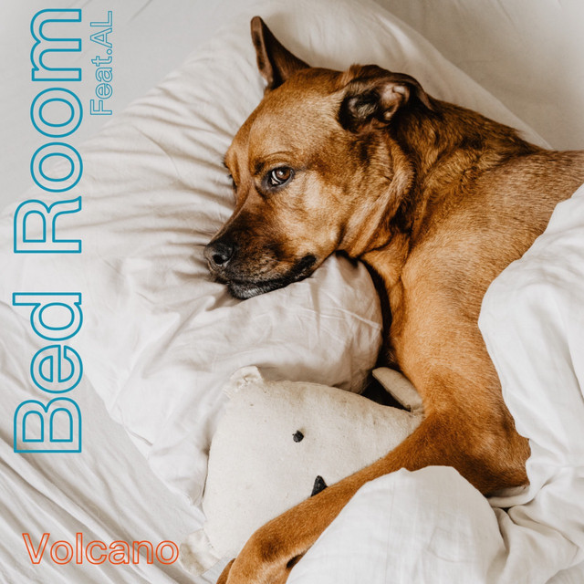 Bedroom cover art