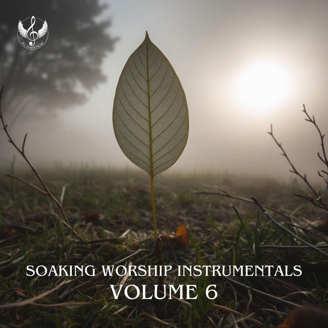 Soaking Worship Instrumentals: Volume 6 - Album by All God's Music ...