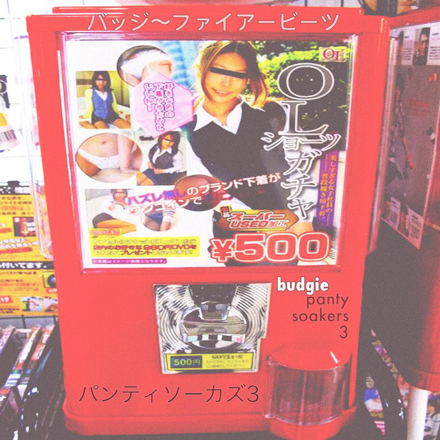 Panty Soakers 3 cover art