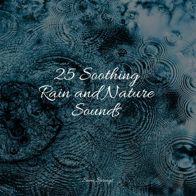 25 Soothing Rain and Nature Sounds - Album by Ambient Music Therapy ...