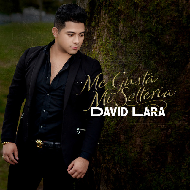 Me Gusta Mi Solteria cover