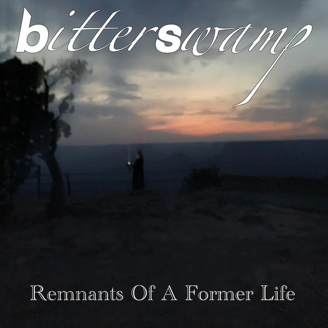 Remnants Of A Former Life cover art
