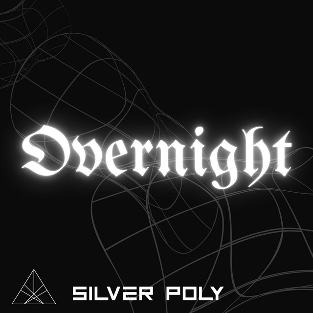 Overnight cover art