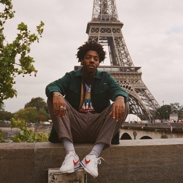 dm_wlking cover art