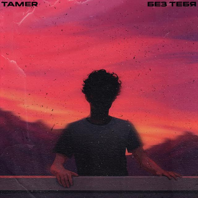 Tamer