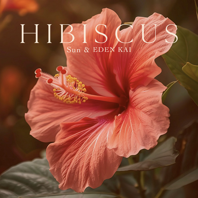 HIBISCUS cover art