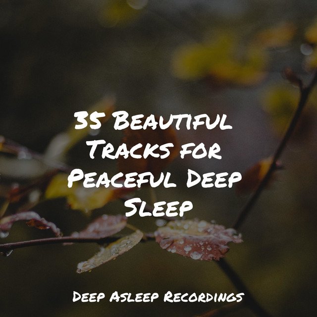 35 Beautiful Tracks for Peaceful Deep Sleep - Album by Pink Noise | Spotify