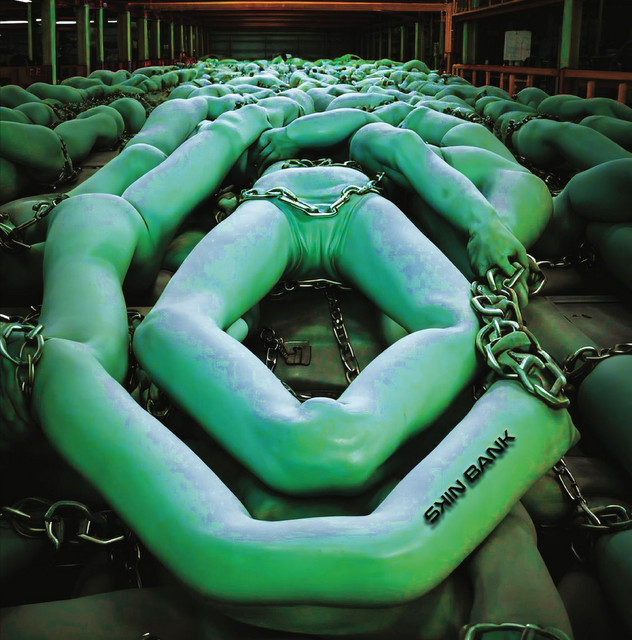 Skin Bank cover art