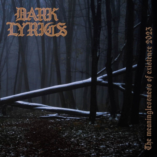 Обкладинка: The dark path of one soul — Dark Lyrics