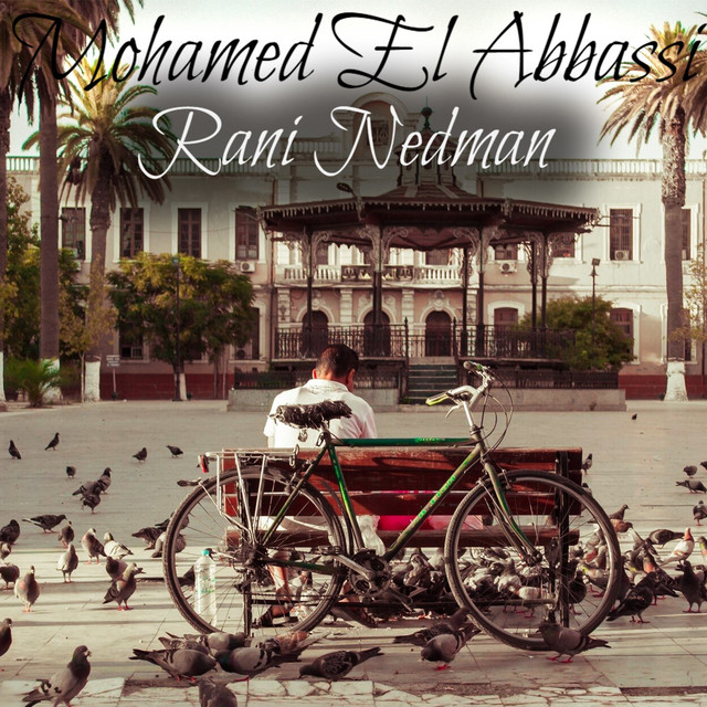 Rani Nedman cover art