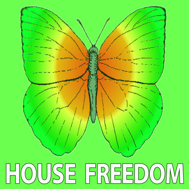 Обкладинка Techno Red — Wow House