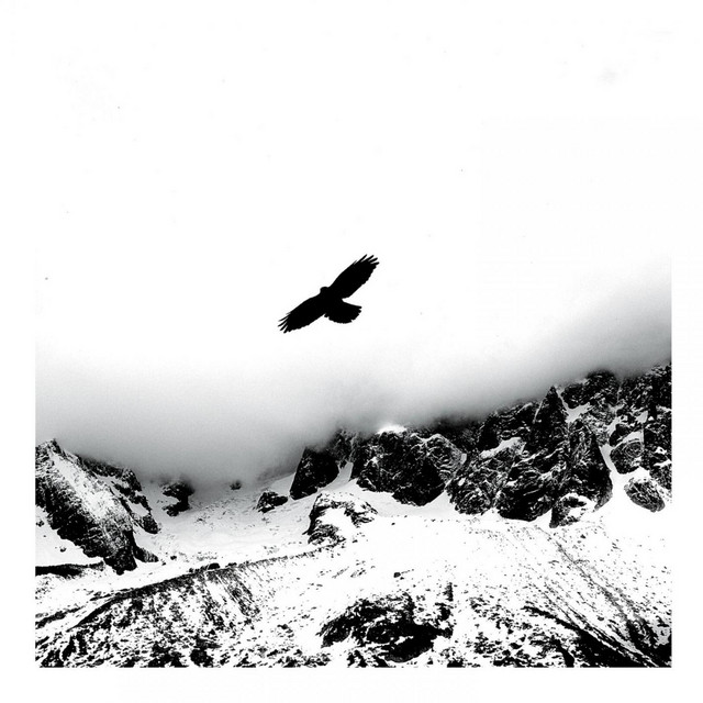 In The Cold Cold Night cover art
