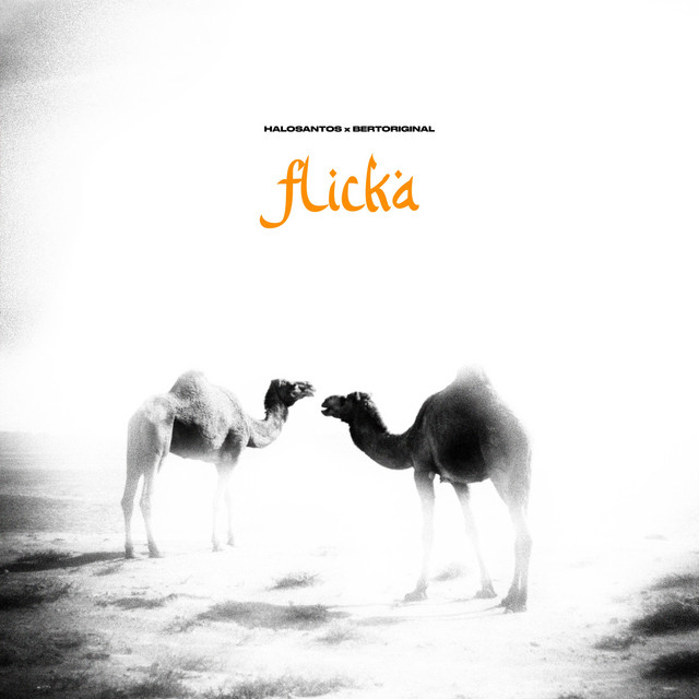 flicka cover art