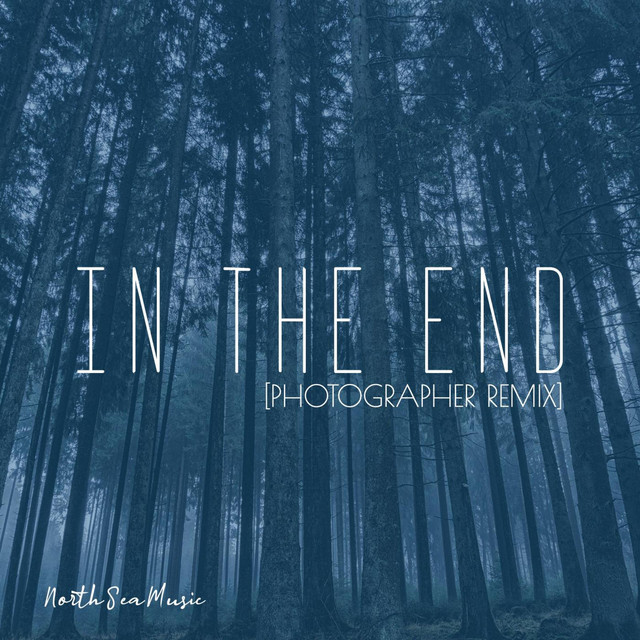 In The End (Photographer Remix) cover
