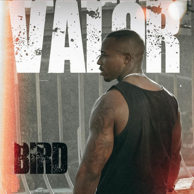 Valor cover art