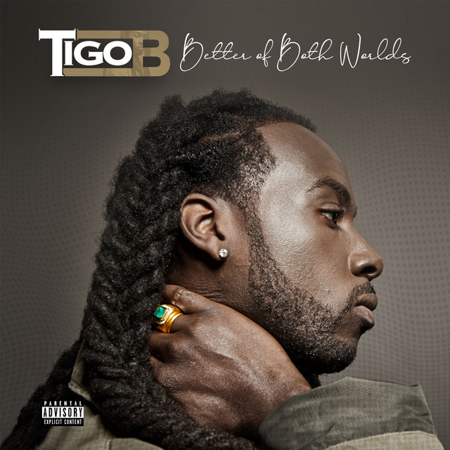 Better of Both Worlds cover art