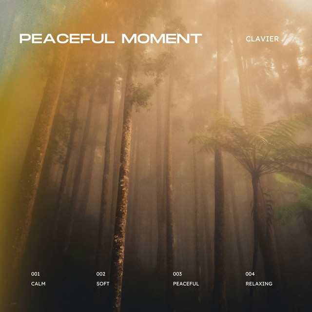 Обкладинка: Peaceful Moment — Clavier