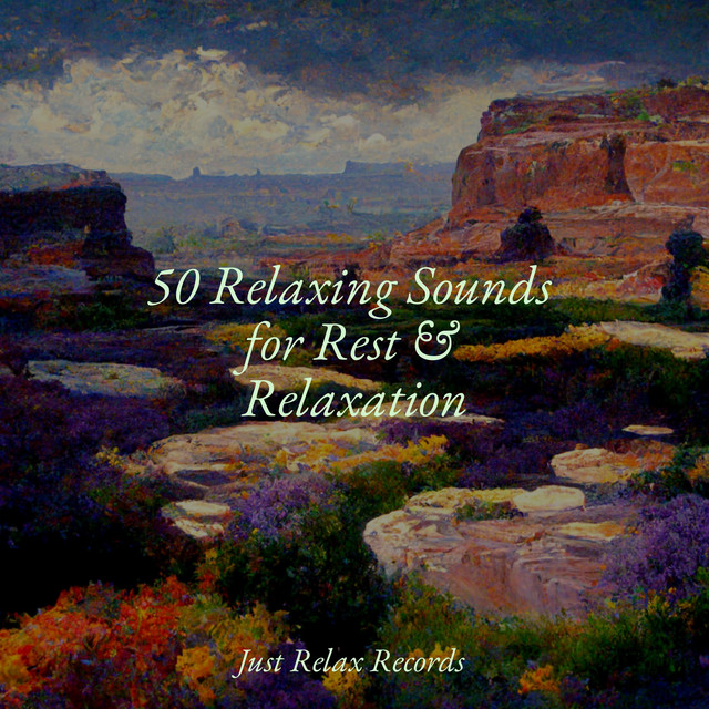 50 Relaxing Sounds for Rest & Relaxation - Album by Deep Sleep ...