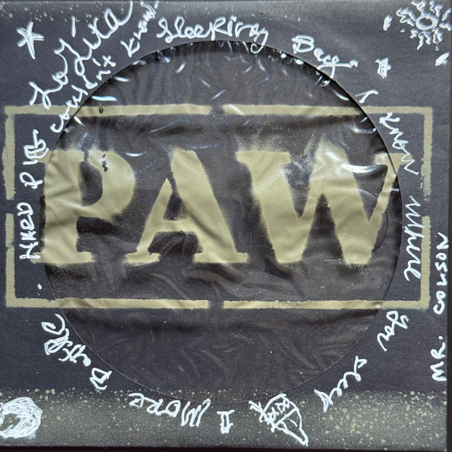 PAW Demo Tape album image