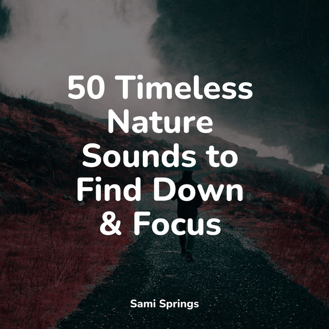 50 Timeless Nature Sounds to Find Down & Focus - Album by Relaxation ...