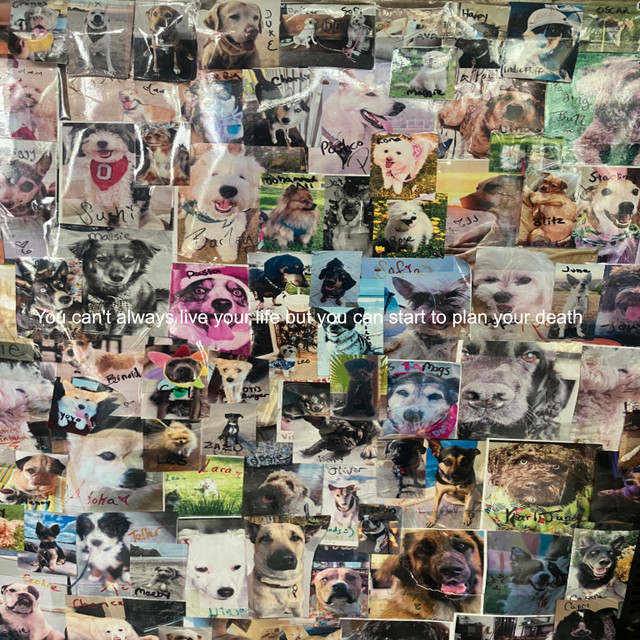 undefined album image