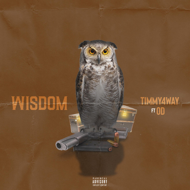 wisdom - Single by Timmy 4way | Spotify