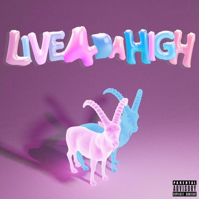 Live 4 da high cover art