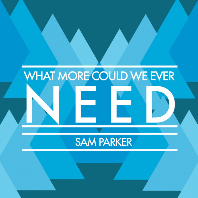 What More Could We Ever Need cover
