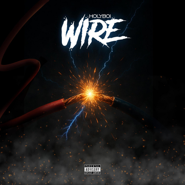 Wire - song and lyrics by HOLY BOI | Spotify