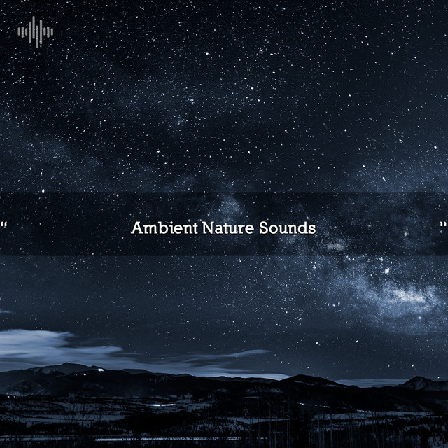 " Ambient Nature Sounds " cover art
