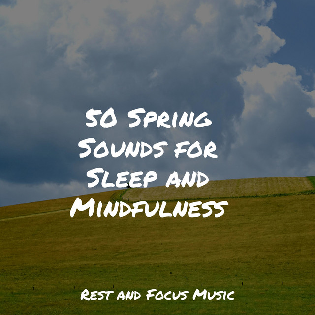 50 Spring Sounds for Sleep and Mindfulness - Album by White Noise for ...