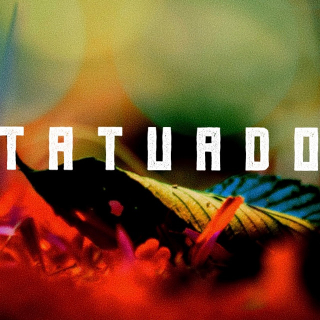 Tatua Photo