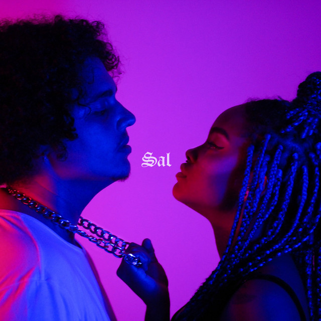 Sal cover art